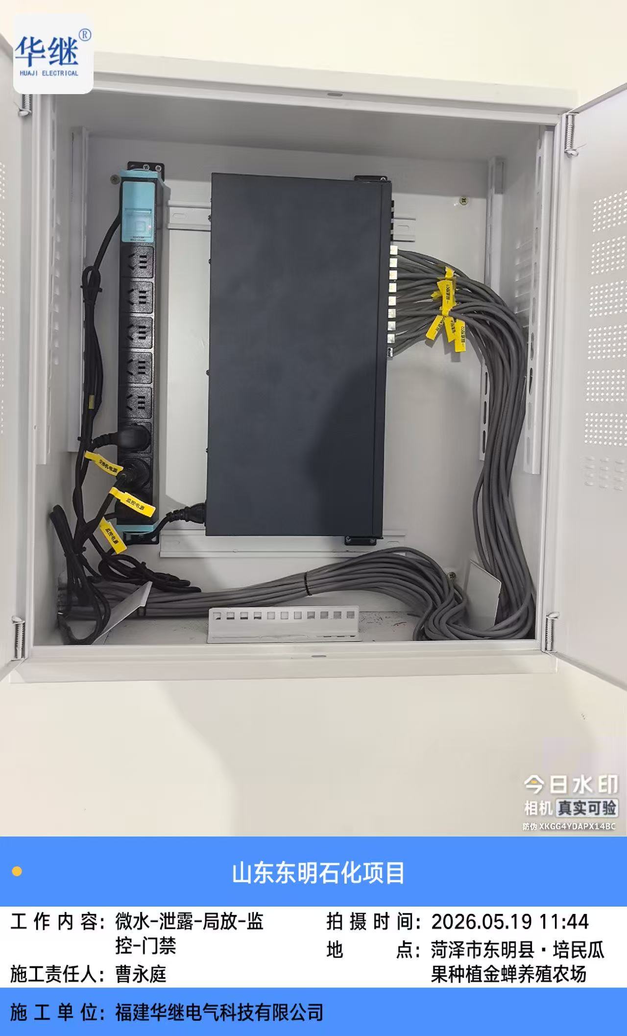 项目成果